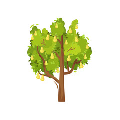 Tree with ripe pears and green leaves. Agricultural plant. Organic farm product. Gardening theme. Flat vector icon