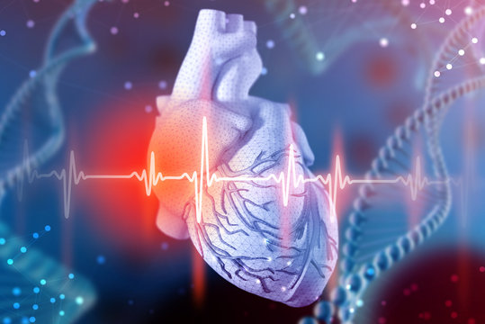 3d illustration of human heart and cardiogram on futuristic blue background. Digital technologies in medicine