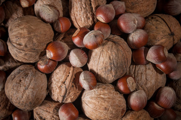 Assorted nuts hazelnuts and walnuts. Background of nuts. Close-up. Healthy food and lifestyle.