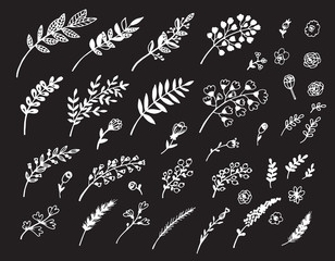 ПечатьHand drawn illustration of branches, leaves and flowers. Design elements