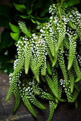 Green flower bouquet 