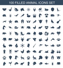 animal icons
