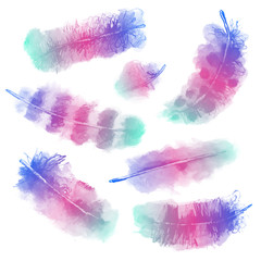 Vector transparent ink and watercolor birds feathers set. Can be used on different backgrounds. Isolated colorful on white. Created from an original hand painted artwork.