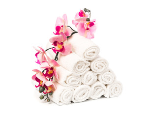 Plakat set of white roll towels with flowers isolated on white.