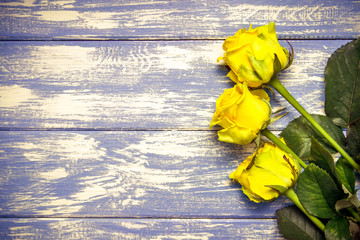 Fototapeta na wymiar A bouquet of yellow roses lies on a bluewooden background 