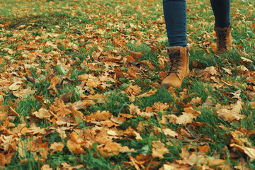 Obraz premium Human wearing brown leather boot and walking in fallen oak leaves.