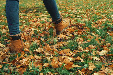 Human wearing brown leather boot and walking in fallen oak leaves.