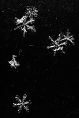 White snowflakes on a white background