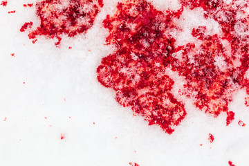 Red blood on white snow as a background