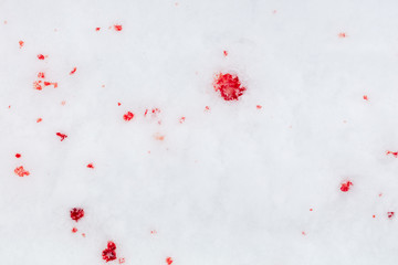 Red blood on white snow as a background