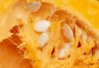 Orange pulp with seeds in a pumpkin as background