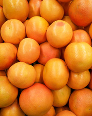 Ripe grapefruit on shop window