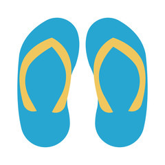 flip flop   sandal   footwear