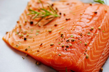 fresh raw salmon 