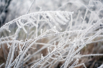 Winter scene at the park