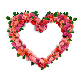 Fiori di primavera