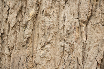 Brown wood leather with natural patterns