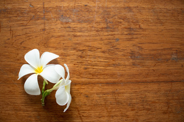 Fototapeta na wymiar Plumeria flowers on a wooden table