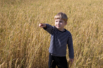 Little boy on a wheat field. Nature in the country. Boy points a finger. Fresh air, environment concept