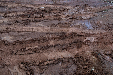 Vehicles Tire Tracks on Mud in the Forrest. Wheel Tracks on the Wet Soil