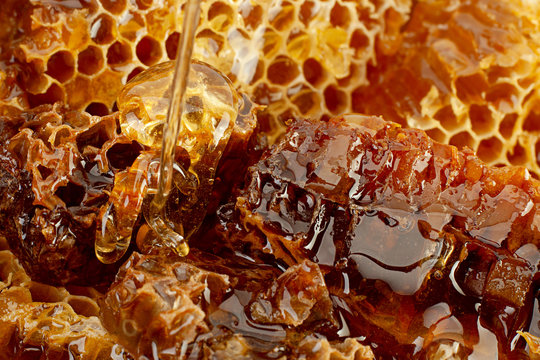 Honeycomb slice closeup background