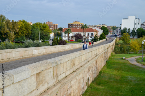 アルバレガスローマ橋 アルバレガス川に架かる古代ローマ橋 スペイン メリダ Wall Mural Tatsuo115 アルバレガスローマ橋 アルバレガス川に架かる古代ローマ橋 スペイン メリダ Wall Mural Tatsuo115