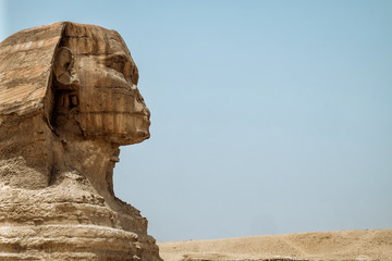 Fototapeta na wymiar Egyptions Swinks with the great Piramid of Giza in the background