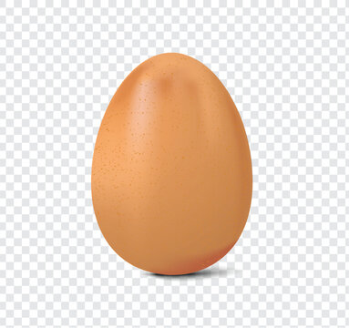 fresh chicken egg isolated on a transparent background, realistic vector illustration