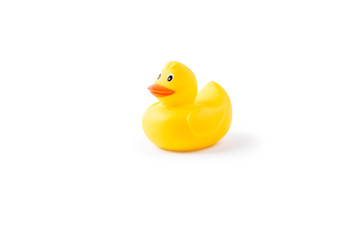 Yellow rubber duck isolated on white background