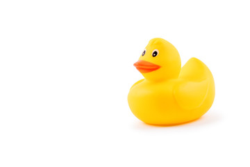 Yellow rubber duck isolated on white background