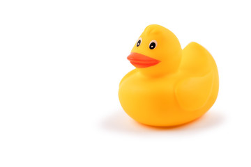 Yellow rubber duck isolated on white background