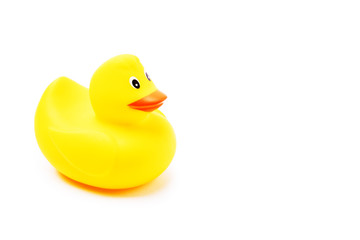 Yellow rubber duck isolated on white background