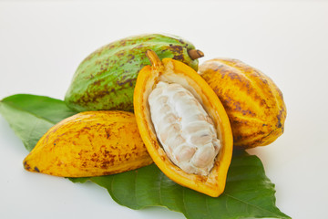 Fresh cocoa fruits with green leaf on white background
