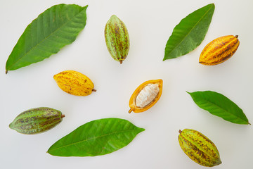 Fresh cocoa fruits with green leaf on white background