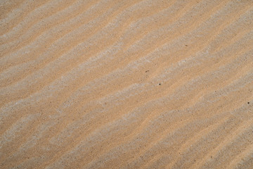 sand texture. white desert