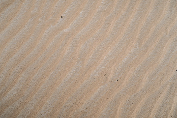 Fototapeta na wymiar sand texture. white desert