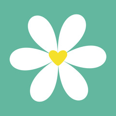 White chamomile daisy icon. Cute flower plant collection. Valentines day. Yellow heart center. Love card. Camomile Growing concept. Flat design. Green background. Isolated.