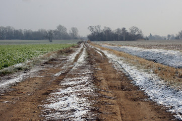 Frost und Kälte auf dem Acker 