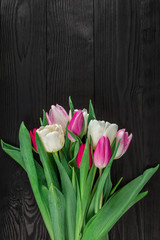 Obraz na płótnie Canvas spring tulips on black wood background