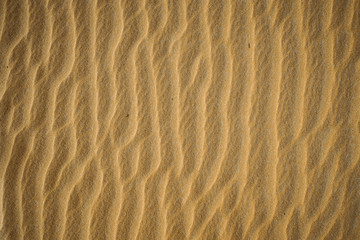 sand texture. yellow