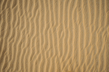 Fototapeta na wymiar sand texture. yellow