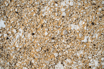 Stone background and texture