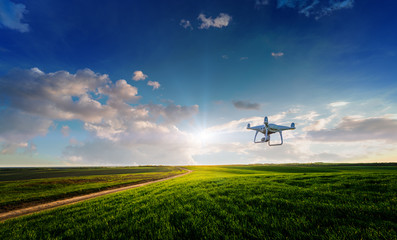 drone quad copter on green corn field