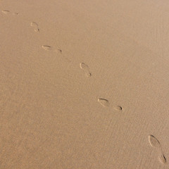 Fototapeta na wymiar footprints in the sand, small female footprints