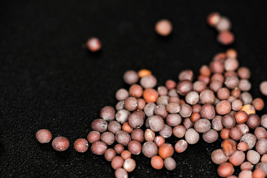 Mustard seeds