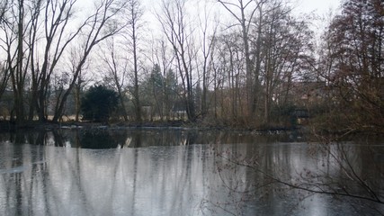 Obraz premium reflection of trees in lake with ice