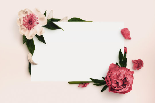 Fiori di primavera