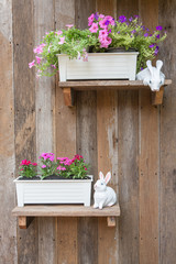 Rabbit doll and flower pot with Old wood wall background