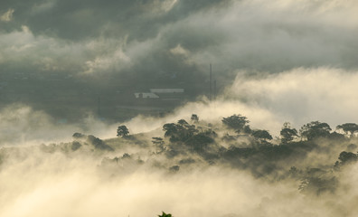 SINGLE AND SUNLIGHT IN THE DON DUONG FOREST, A NEAR TOWN TO THE LAT CITY CITY. THE SINGLE BONUS OF COMMUNICATION AND HOME