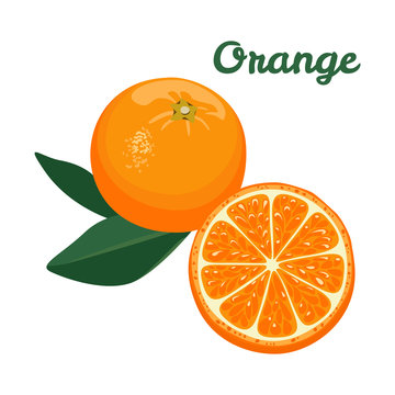 Vector orange with leaf isolated on white background. Color image for template label, packing and emblem farmer market design.